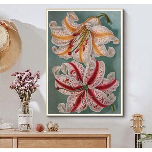 Antique Victorian Lilium Auratum Prints Mountain Lily Illustration Poster Victorian Flowers Canvas Painting Living Room Decor