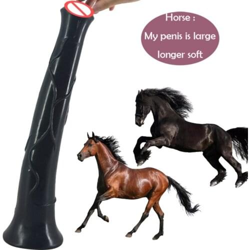 43cm length Suction realistic large penis long horse dildo animal penis massage woman butt vagina female Erotic sex toys