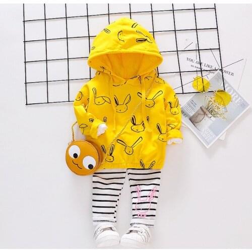 Toddler girl clothes 2019 Winter Fashion Children Clothes Kids Toddler Sport Suit Cotton Tracksuit Clothes for 1 2 3 4 Years