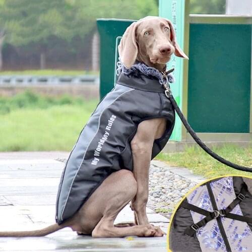 Golden Retriever Dog Clothes Fall Winter Clothes Thicken Windproof Warm Medium and Large Dog Side Shepherd Labrador Coat Winter