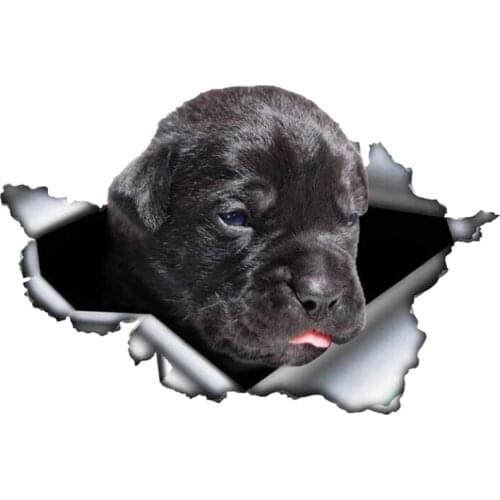 B0103# Self-adhesive Decal Black Cane Corso V2 Car Sticker Waterproof Auto Decors on Bumper Rear Window
