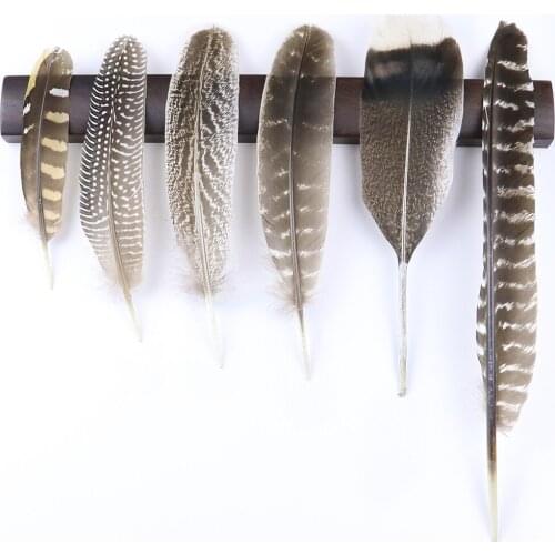 10Pcs/lot Mixed Natural Pheasant Chicken Feathers 6-12 inch Eagle Plumes for Diy Crafts Holiday Decoration Accessories