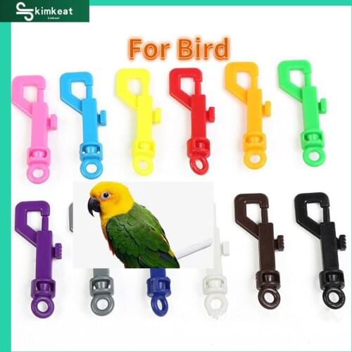 6Pcs Plastic Lock for Cages Bird Cage Lock Parrot bird accessories