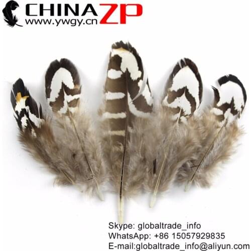 Leading Supplier CHINAZP Factory 200pcs/lot 6-10cm Natural Tiny Black and White Reeves Venery Pheasant Plumage Feathers