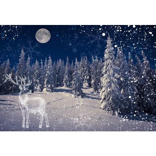 Mysterious forest photo backgrounds vinyl child Xmas 2020 photography backdrop for photographer studio props fotografia lv-2367