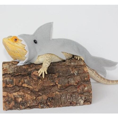 Shark Costume for Bearded Dragon Reptiles Clothes Lizard Shark Clothes Small Pet clothes Gecko