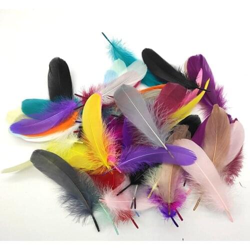 8-10 Cm Small Floating Goose Feather Colourful Feather For Wedding Party Clothing Decoration DIY Craft Feathers 100 Pcs