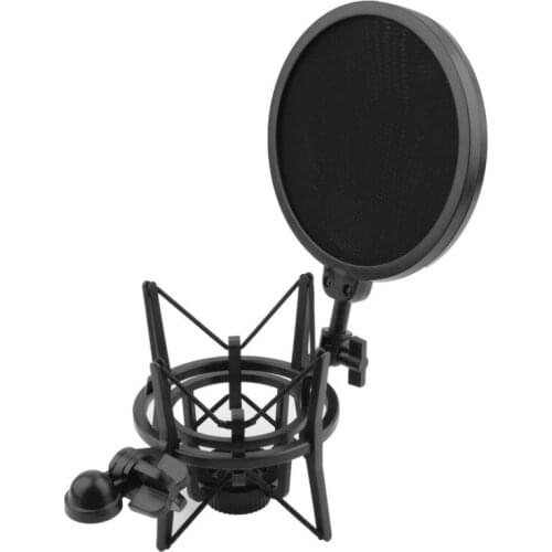 W Shape Audio Professional Condenser Microphone Mic Studio Sound Recording Shock Mount