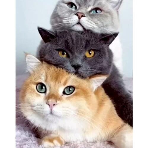 GATYZTORY 60x75cm Frame DIY Painting By Numbers HandPainted Unique Gifts Three Cute Cat Animal Paint By Number Home Decor