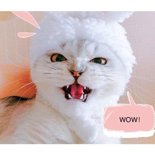 Cat Dog Head Band Cute Rabbit Cosplay Cap Cat Headdress Performance Props Funny Pet Hat Frog Lion Rabbit Head Headgear