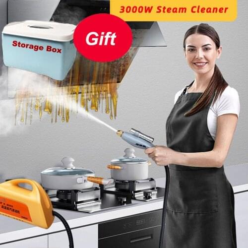 2600W 3000W 4.5bar Sterilization Disinfector Steam Cleaner High Temperature Household Kitchen Cleaning Machine Car Washing