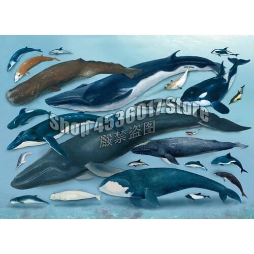 5D Diy Diamond Painting Full Diamond Mosaic Drill Icons 3D Diamond Embroidery Rhinestones Whales & Dolphins Art Home Decor Gifts