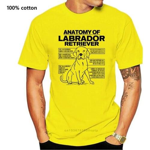 2021 New Fashion Brand Clothing Anatomy of a Labrador Retriever Funny Dog owner gifts shirt