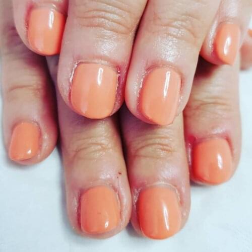 91588 Shells In The Sand gel polish primer UV sealer soak enhanced 7.3ml long lasting manicure art nail gel Lak varnish primer