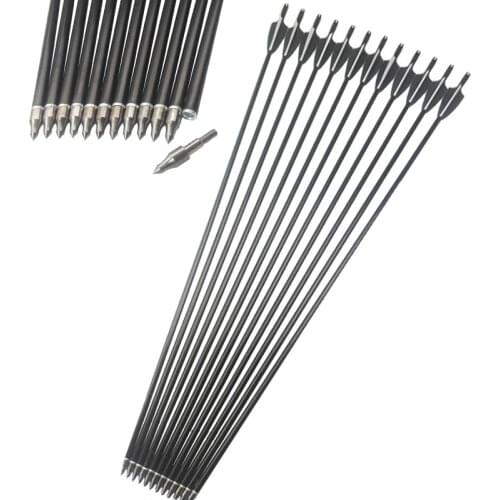 6pcs FiberGlass Arrows 80cm Length Spine500 OD8mm with Arrow Tip Broadhead 3" Plastic Rubber Feather for Compound Recurve bow