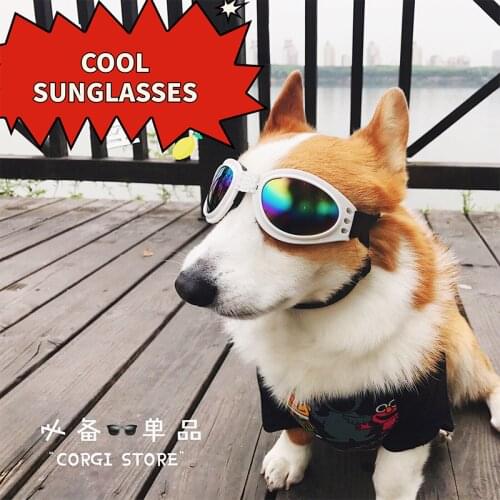Pet Supplies Retro Fashion Dog Goggles Going Out Anti-dazzling Windproof Glasses Cool Waterproof Foldable Sunglasse accessories