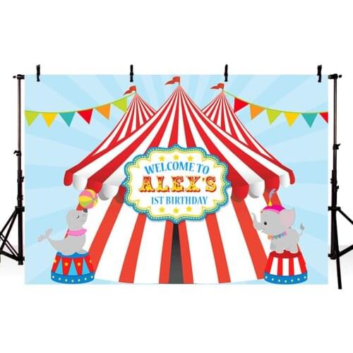 Carnival Circus Party Photography Backdrop Bunting 1st Birthday Party Backgrounds Photocall Vinyl Background Photography