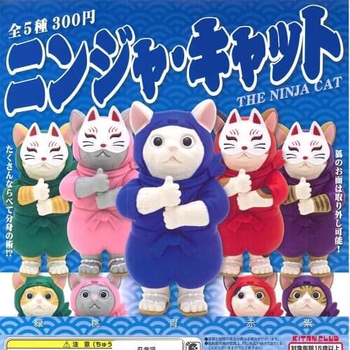 Japan genuine capsule toys cute kawaii Ninja cat Ragdoll Exotic shorthair calico Scottish Fold Bobtail kitten gashapon figures
