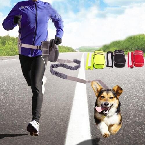 Adjustable Dog Leash Puppy Collar Running Training Lead Waist Belt Dogs Strap Pet Elastic Traction Rope Set Pets Accessories
