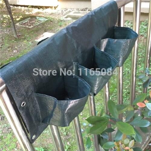 Pocketgarden Flower Seeds