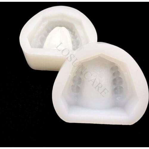 2pc/set Dental Plaster Model Mold Mould of Edentulous Jaw Complete Cavity Block Full teeth
