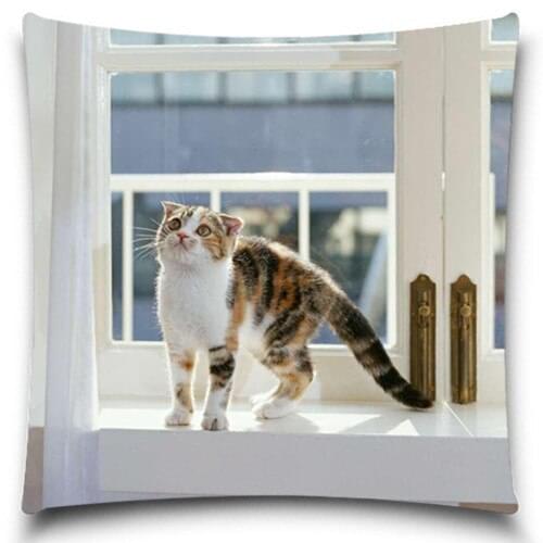 Cat pattern Throw Pillow Case of Christmas gift Home Office Decal /Home Textile Gift Pillow Cover 5 size 9 style