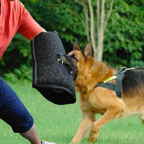Marvelous Dog Dog Training Collars And Dog Repellents