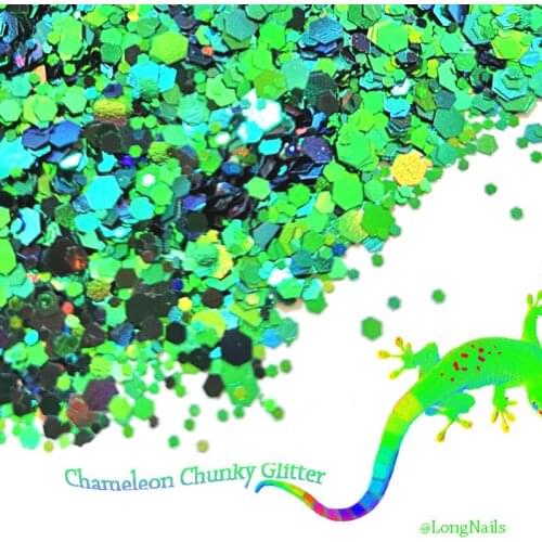 50g/1.76oz Chameleon Glitter Chunky Sequins 21Colors Shifting Roly-Poly Flakes Manicure 2021Style Nail Arts HoloGlitter JD3&MD72