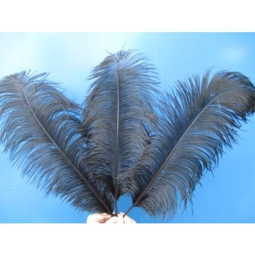 Wholesale 50pcs / lot high quality ostrich feathers 22-24 inches / 55-60 cm black feather stage decoration celebration