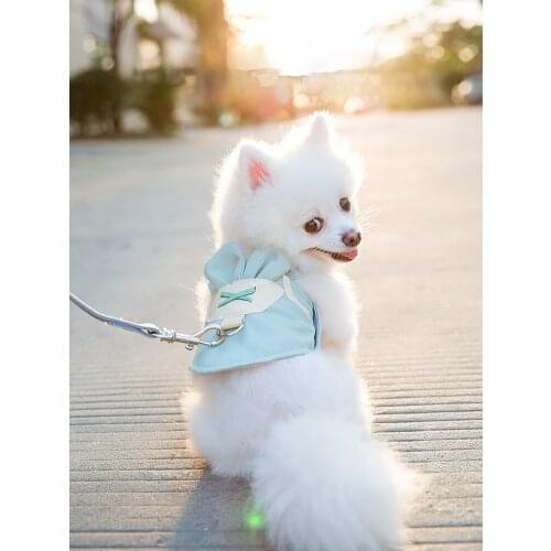 Vest-style dog leash, dog leash, strap, puppies, small dogs, Teddy, Bichon, Pomeranian, cats, and dog supplies dogs accessoires