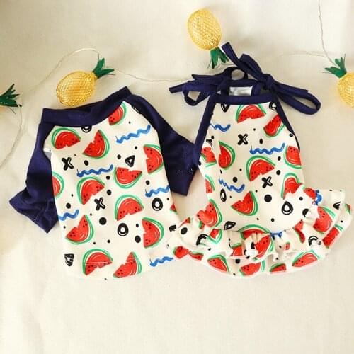 Pet Clothing Poodle Pomeranian Puppy Costume Small Dog Summer Vest Puppy Dog Spring and Summer Thin Halter Skirt Couples Wear