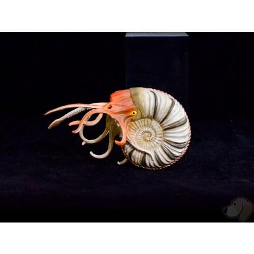 CollectA Parapuzosia bradyi 88902