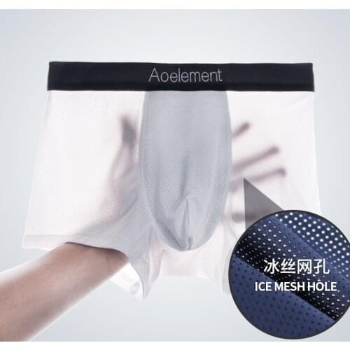 Sexy Gay Men Underwear Modal Boxers Shorts Homme Breathable Mesh Penis Mans Ice Silk Pouch Underpants Male Panties Plus Size