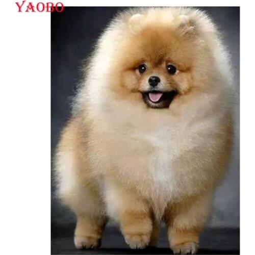 5D Diamond Painting Diamond Mosaic Pomeranian Pictures Needlework Full Square Drill Pet Dog Cross Stitch Diamond Embroidery Gift