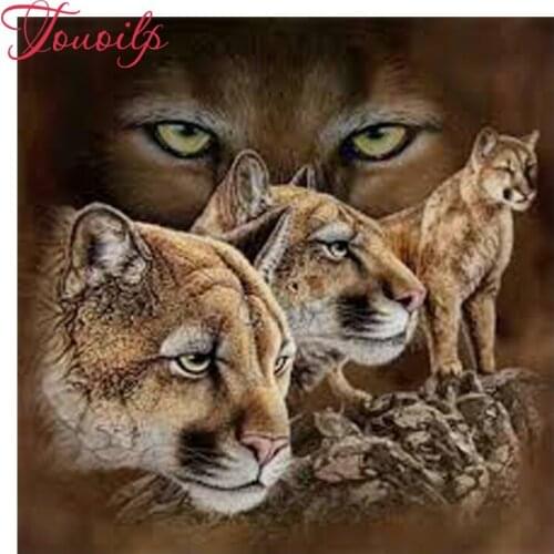 5D diy diamond embroidery full square round 5d Cougar diamond painting Cross Stitch Rhinestone mosaic home decoration