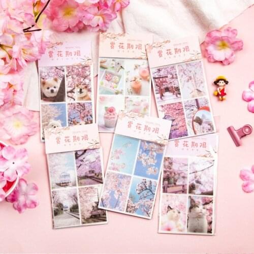 5pcs/Pack Kawaii Cat Dog Cherry Blossoms DIY Stickers Notebook Mobile Phone Decorations Scrapbooking Journal Stickers Stationery