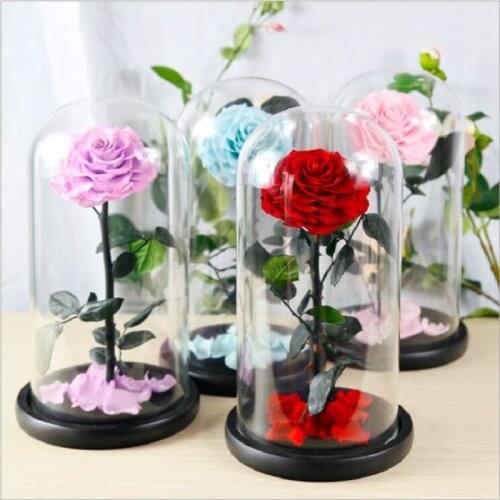 Preserved fresh flower finished product glass cover A single flower blooms valentine rose artificial flower No.190012