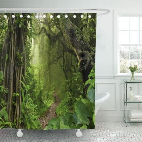 Green Forest Asian Tropical Jungle Rainforest Swamp Tree Amazon Shower Curtain Waterproof Fabric 60 x 72 Inches Set with Hooks