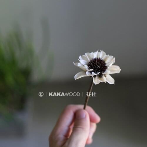 Kakawood Flower Club Northern European-Style Home Soft Decorations Dry Flower Handmade Fruit Shell Flower White Daisy