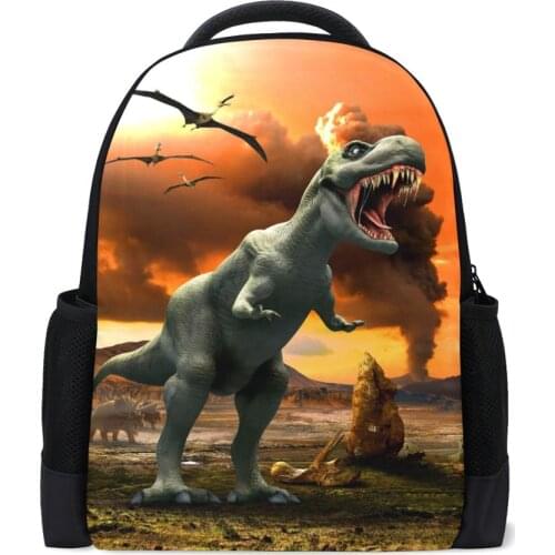 Children School Bags for Boys 3D Cartoon Dinosaur School Backpacks Orthopedic Backpack Primary School Kids Satchel for Grade 1-5