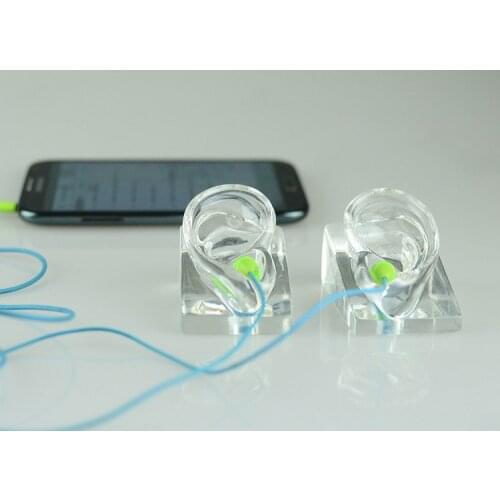 New Style Ear Model Best Quality Ear Mannequin Factory Direct Sell