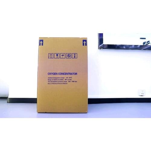 Molecular sieve dual flow 110v room oxygen concentratorc filter 10l medical mobile machine price buy outdoor ecuador panama mexi