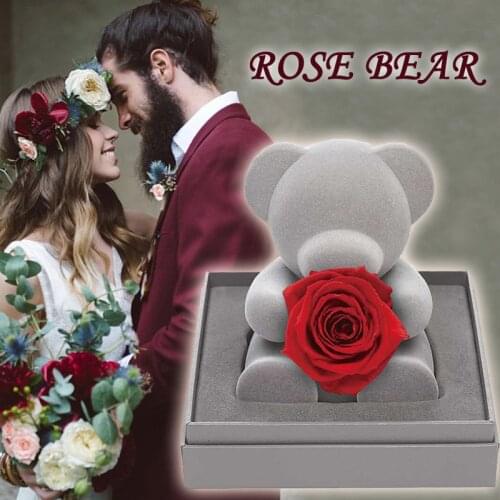 Artificial Flowers Decoration Rosonly Red Fresh Roses Teddi Bear with Quality Gift Box for Sweetheart Valentine Christmas Gift