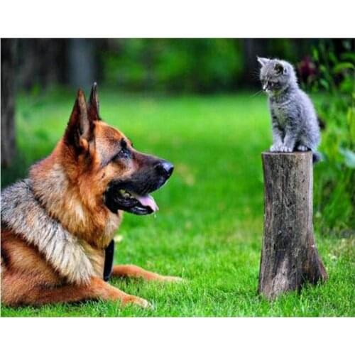 Diamond Painting Pet Dogs DIY 5D Diamond Embroidery Full Square/Round Cross Stitch Mosaic Home Decoration