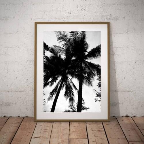 Wall Art Canvas Painting Simple Tropical Style Palm Tree Black And White Coconut Tree Poster Home Wall Art Decoration