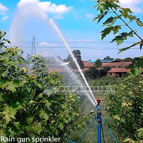 2.5 Inch Rain Gun/gun Sprinkler Irrigation For Watering/agriculture