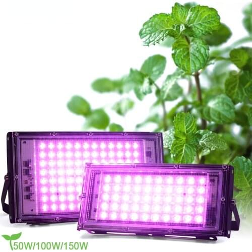 IWP Phytolamps For Plants