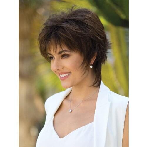 Wigs for Women Short Hair Synthetic Straight Hair Natural Brown Wigs Daily Use High Temperature Fiber Wigs