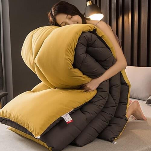 Quilt winter quilt core thickened warmth comforter single student dormitory winter double air-conditioned silk cotton bedding