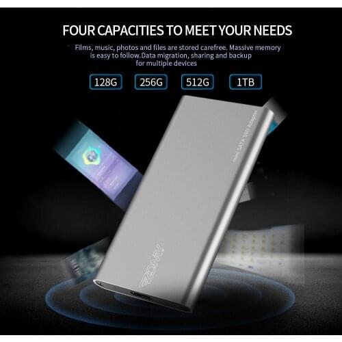 ZOMY mSATA To USB 3.1 External Solid State Drives Aluminum 10Gbps SSD 1tb Portable Hard Drives 128G 256G Type-c for Laptops